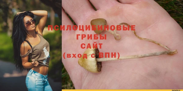 гашик Пролетарск